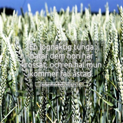 Picture 05 - Ordspråksboken 26:28 SV1917 - En lögnaktig tunga hatar dem hon har krossat, - Bible Verse Picture