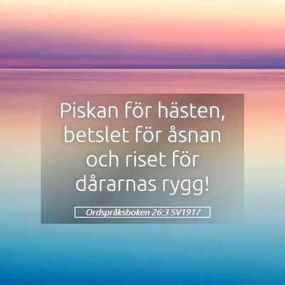 Picture 05 - Ordspråksboken 26:3 SV1917 - Piskan för hästen, betslet för åsnan och - Bible Verse Picture