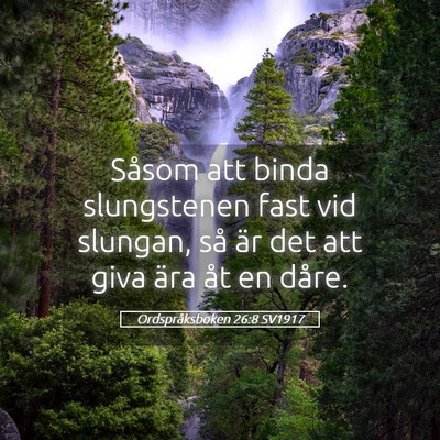 Picture 05 - Ordspråksboken 26:8 SV1917 - Såsom att binda slungstenen fast vid slungan, - Bible Verse Picture