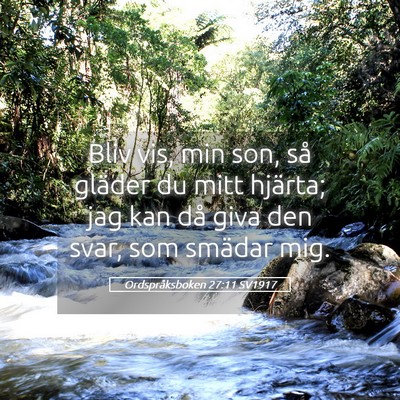 Picture 05 - Ordspråksboken 27:11 SV1917 - Bliv vis, min son, så gläder du mitt hjärta; - Bible Verse Picture