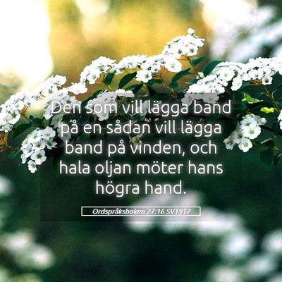 Picture 05 - Ordspråksboken 27:16 SV1917 - Den som vill lägga band på en sådan vill - Bible Verse Picture