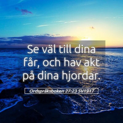 Picture 05 - Ordspråksboken 27:23 SV1917 - Se väl till dina får, och hav akt på dina - Bible Verse Picture
