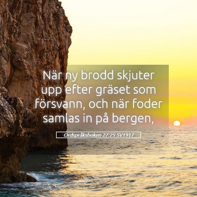 Picture 05 - Ordspråksboken 27:25 SV1917 - När ny brodd skjuter upp efter gräset som - Bible Verse Picture
