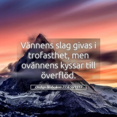 Picture 05 - Ordspråksboken 27:6 SV1917 - Vännens slag givas i trofasthet, men ovännens - Bible Verse Picture