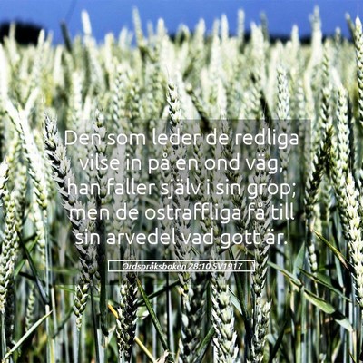 Picture 05 - Ordspråksboken 28:10 SV1917 - Den som leder de redliga vilse in på en ond - Bible Verse Picture