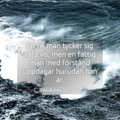 Picture 05 - Ordspråksboken 28:11 SV1917 - En rik man tycker sig vara vis, men en fattig man - Bible Verse Picture