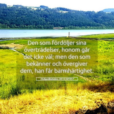 Picture 05 - Ordspråksboken 28:13 SV1917 - Den som fördöljer sina överträdelser, honom - Bible Verse Picture