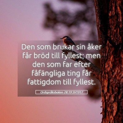 Picture 05 - Ordspråksboken 28:19 SV1917 - Den som brukar sin åker får bröd till fyllest; - Bible Verse Picture