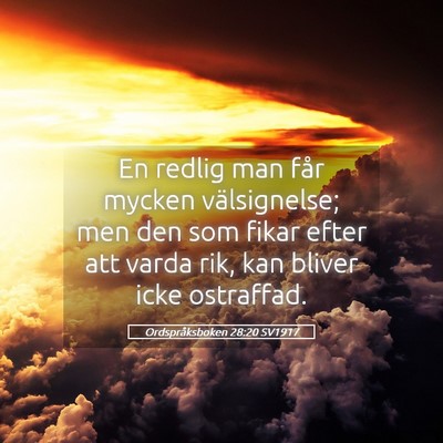 Picture 05 - Ordspråksboken 28:20 SV1917 - En redlig man får mycken välsignelse; men den - Bible Verse Picture