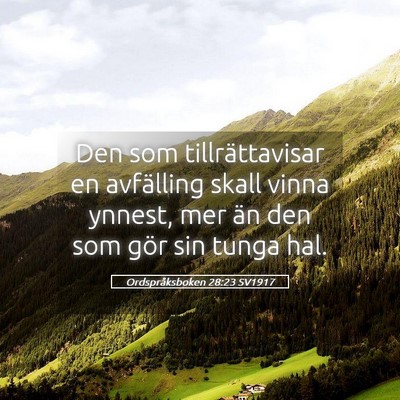 Picture 05 - Ordspråksboken 28:23 SV1917 - Den som tillrättavisar en avfälling skall vinna - Bible Verse Picture