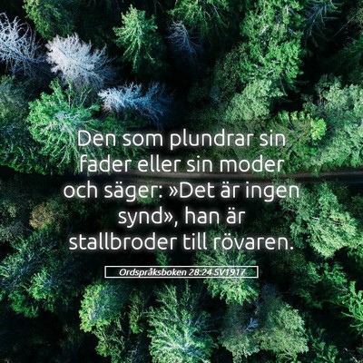 Picture 05 - Ordspråksboken 28:24 SV1917 - Den som plundrar sin fader eller sin moder och - Bible Verse Picture
