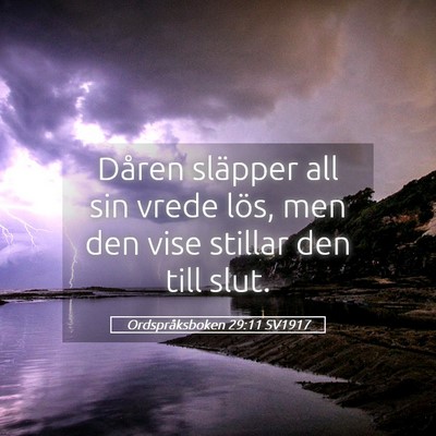 Picture 05 - Ordspråksboken 29:11 SV1917 - Dåren släpper all sin vrede lös, men den vise - Bible Verse Picture
