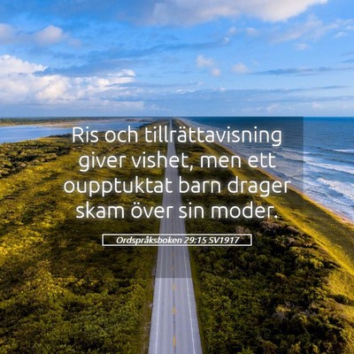 Picture 05 - Ordspråksboken 29:15 SV1917 - Ris och tillrättavisning giver vishet, men ett - Bible Verse Picture