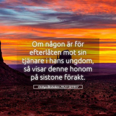 Picture 05 - Ordspråksboken 29:21 SV1917 - Om någon är för efterlåten mot sin tjänare i - Bible Verse Picture