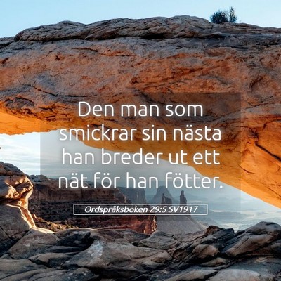 Picture 05 - Ordspråksboken 29:5 SV1917 - Den man som smickrar sin nästa han breder ut ett - Bible Verse Picture