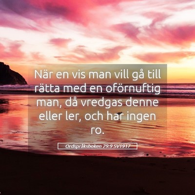 Picture 05 - Ordspråksboken 29:9 SV1917 - När en vis man vill gå till rätta med en - Bible Verse Picture