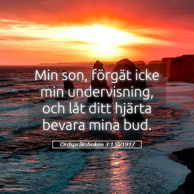 Picture 05 - Ordspråksboken 3:1 SV1917 - Min son, förgät icke min undervisning, och låt - Bible Verse Picture