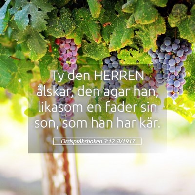 Picture 05 - Ordspråksboken 3:12 SV1917 - Ty den HERREN älskar, den agar han, likasom en - Bible Verse Picture