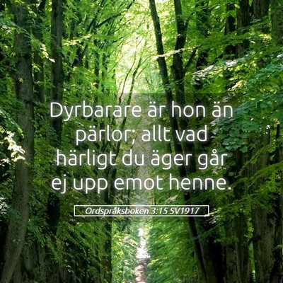 Picture 05 - Ordspråksboken 3:15 SV1917 - Dyrbarare är hon än pärlor; allt vad härligt - Bible Verse Picture