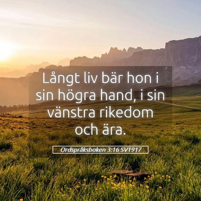 Picture 05 - Ordspråksboken 3:16 SV1917 - Långt liv bär hon i sin högra hand, i sin - Bible Verse Picture