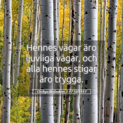 Picture 05 - Ordspråksboken 3:17 SV1917 - Hennes vägar äro ljuvliga vägar, och alla - Bible Verse Picture