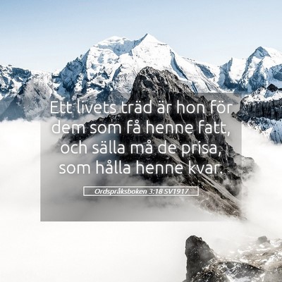 Picture 05 - Ordspråksboken 3:18 SV1917 - Ett livets träd är hon för dem som få henne - Bible Verse Picture