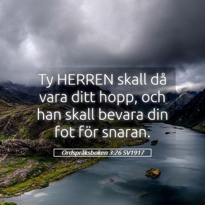 Picture 05 - Ordspråksboken 3:26 SV1917 - Ty HERREN skall då vara ditt hopp, och han skall - Bible Verse Picture