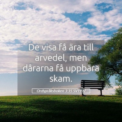Picture 05 - Ordspråksboken 3:35 SV1917 - De visa få ära till arvedel, men dårarna få - Bible Verse Picture