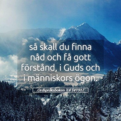 Picture 05 - Ordspråksboken 3:4 SV1917 - så skall du finna nåd och få gott förstånd, - Bible Verse Picture