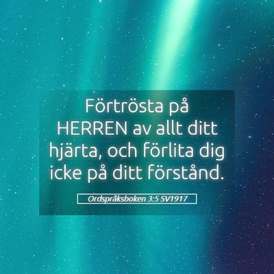 Picture 05 - Ordspråksboken 3:5 SV1917 - Förtrösta på HERREN av allt ditt hjärta, och - Bible Verse Picture