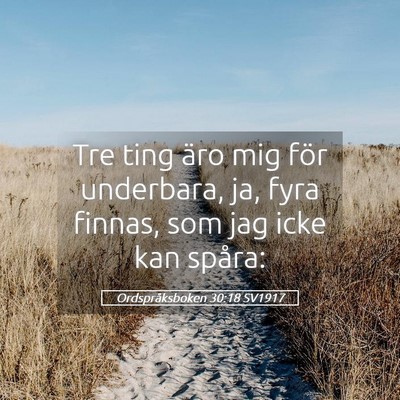 Picture 05 - Ordspråksboken 30:18 SV1917 - Tre ting äro mig för underbara, ja, fyra - Bible Verse Picture
