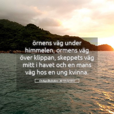 Picture 05 - Ordspråksboken 30:19 SV1917 - örnens väg under himmelen, ormens väg över - Bible Verse Picture