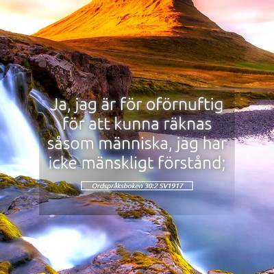 Picture 05 - Ordspråksboken 30:2 SV1917 - Ja, jag är för oförnuftig för att kunna - Bible Verse Picture