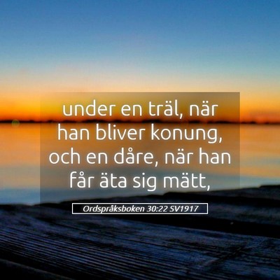 Picture 05 - Ordspråksboken 30:22 SV1917 - under en träl, när han bliver konung, och en - Bible Verse Picture