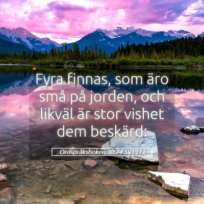 Picture 05 - Ordspråksboken 30:24 SV1917 - Fyra finnas, som äro små på jorden, och - Bible Verse Picture