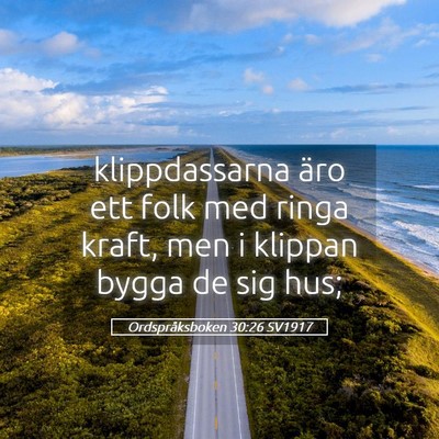 Picture 05 - Ordspråksboken 30:26 SV1917 - klippdassarna äro ett folk med ringa kraft, men - Bible Verse Picture