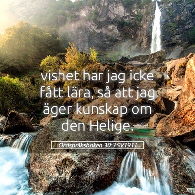 Picture 05 - Ordspråksboken 30:3 SV1917 - vishet har jag icke fått lära, så att jag - Bible Verse Picture