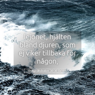 Picture 05 - Ordspråksboken 30:30 SV1917 - lejonet, hjälten bland djuren, som ej viker - Bible Verse Picture