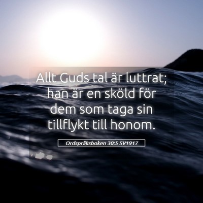 Picture 05 - Ordspråksboken 30:5 SV1917 - Allt Guds tal är luttrat; han är en sköld för - Bible Verse Picture
