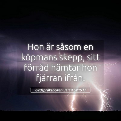 Picture 05 - Ordspråksboken 31:14 SV1917 - Hon är såsom en köpmans skepp, sitt förråd - Bible Verse Picture