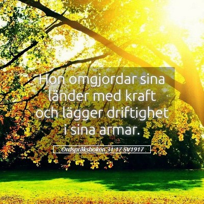 Picture 05 - Ordspråksboken 31:17 SV1917 - Hon omgjordar sina länder med kraft och lägger - Bible Verse Picture