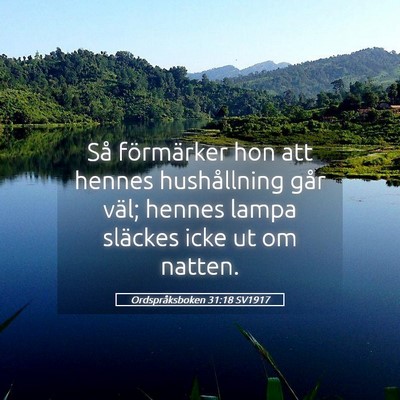 Picture 05 - Ordspråksboken 31:18 SV1917 - Så förmärker hon att hennes hushållning går - Bible Verse Picture