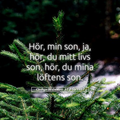 Picture 05 - Ordspråksboken 31:2 SV1917 - Hör, min son, ja, hör, du mitt livs son, hör, - Bible Verse Picture