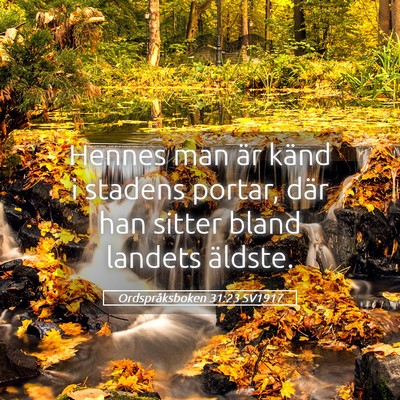 Picture 05 - Ordspråksboken 31:23 SV1917 - Hennes man är känd i stadens portar, där han - Bible Verse Picture