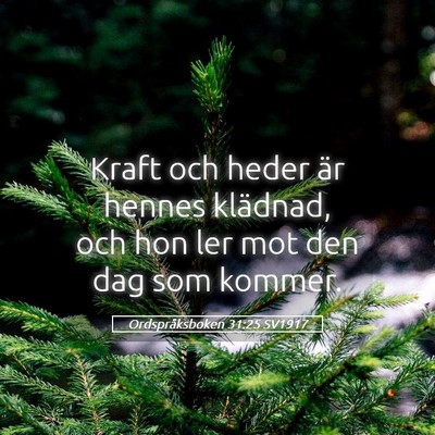 Picture 05 - Ordspråksboken 31:25 SV1917 - Kraft och heder är hennes klädnad, och hon ler - Bible Verse Picture