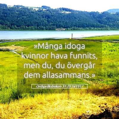 Picture 05 - Ordspråksboken 31:29 SV1917 - »Många idoga kvinnor hava funnits, men du, du - Bible Verse Picture