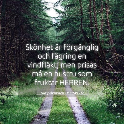 Picture 05 - Ordspråksboken 31:30 SV1917 - Skönhet är förgänglig och fägring en - Bible Verse Picture