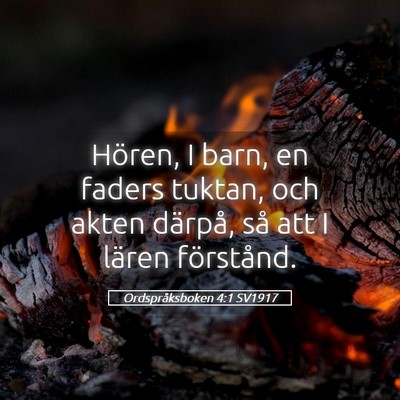 Picture 05 - Ordspråksboken 4:1 SV1917 - Hören, I barn, en faders tuktan, och akten - Bible Verse Picture