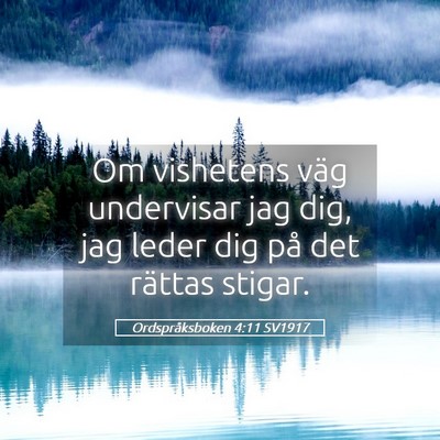 Picture 05 - Ordspråksboken 4:11 SV1917 - Om vishetens väg undervisar jag dig, jag leder - Bible Verse Picture