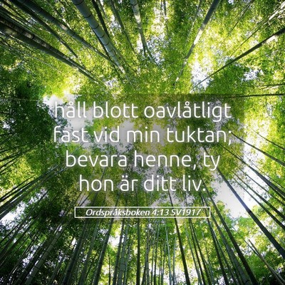 Picture 05 - Ordspråksboken 4:13 SV1917 - håll blott oavlåtligt fast vid min tuktan; - Bible Verse Picture